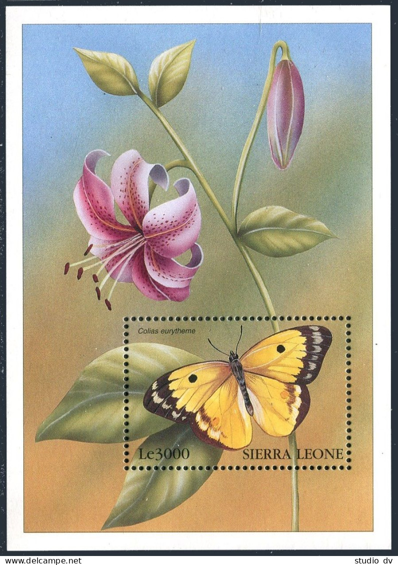 Sierra Leone 2052 Sheet, MNH. Butterflies 1997. Colias Euritheme. - Sierra Leone (1961-...)