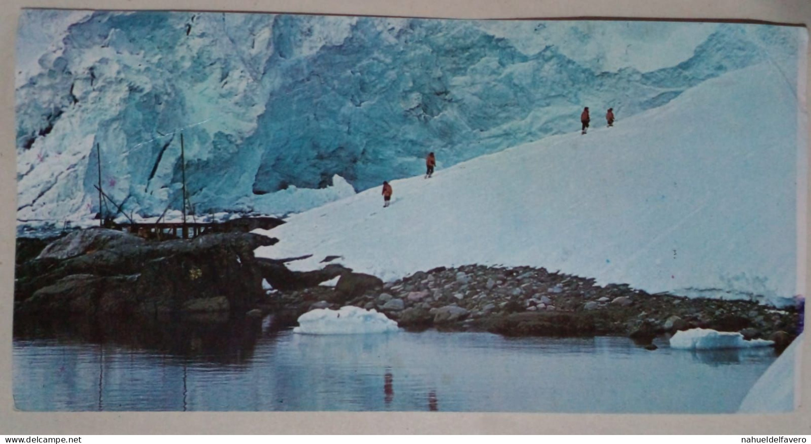 Carte Postale - Croisières Vers L'Antarctique Argentin. - Argentina