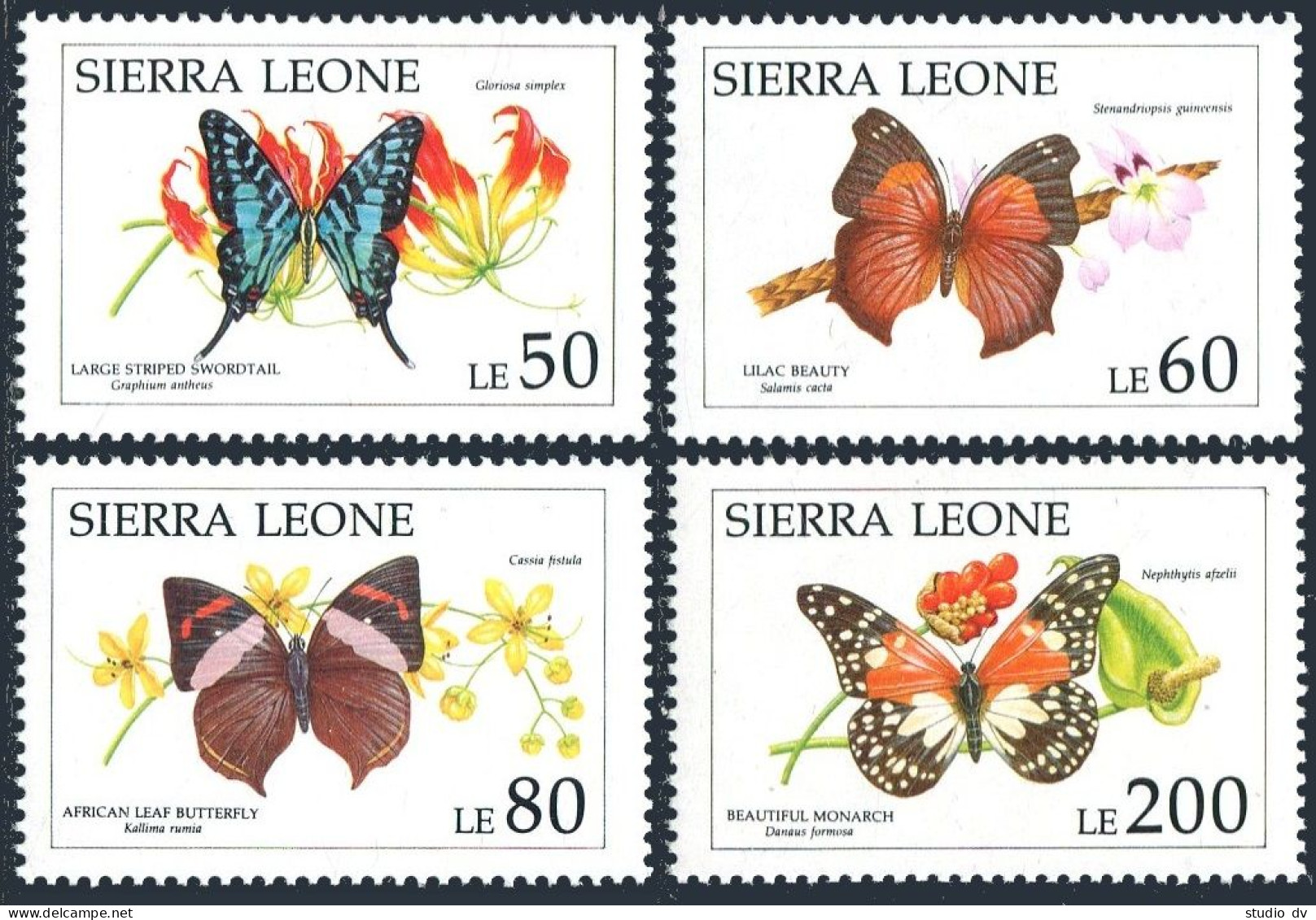 Sierra Leone 1399-1400-1401-1403, MNH. Michel 1653/1657. Butterflies 1991. - Sierra Leone (1961-...)