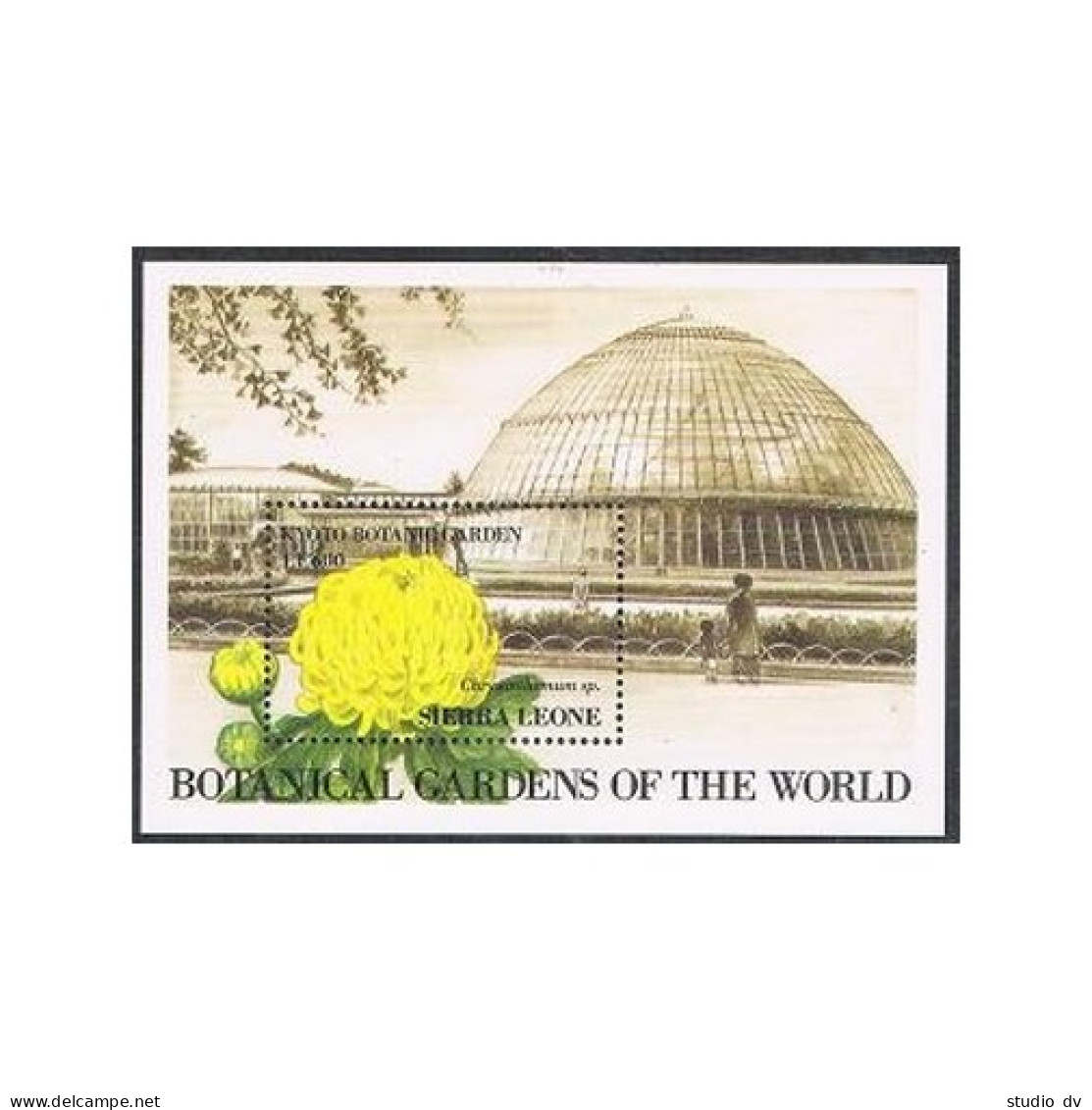 Sierra Leone 1428, MNH. Michel 1727. Kyoto Botanic Gardens, 1991. Chrysanthemum. - Sierra Leone (1961-...)