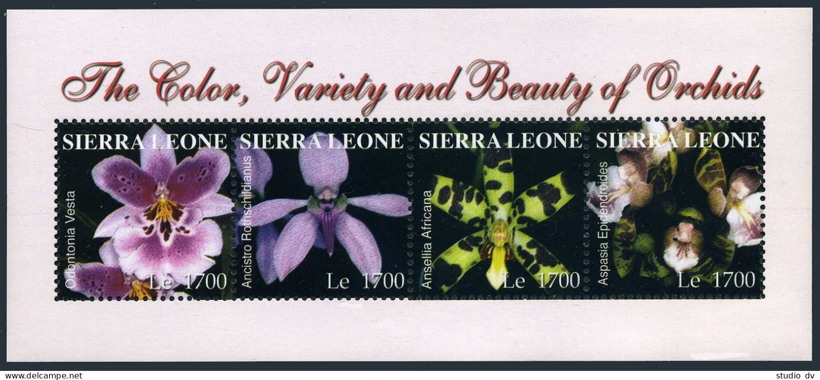 Sierra Leone 2738-2741,2742-2743 Sheets,MNH. Flowers 2004.Orchids. - Sierra Leone (1961-...)
