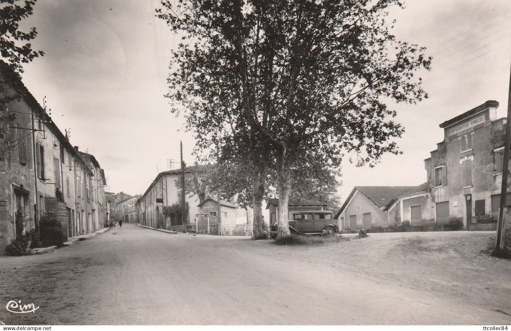 CPSM-84-LA TOUR D'AIGUES-Coopérative Vinicole Et Faubourg De Trest - La Tour D'Aigues