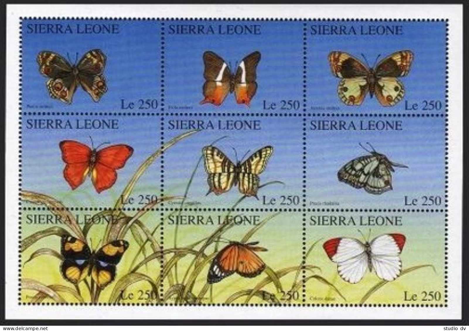 Sierra Leone 1910 Ai Sheet, MNH. Butterflies 1996. - Sierra Leone (1961-...)