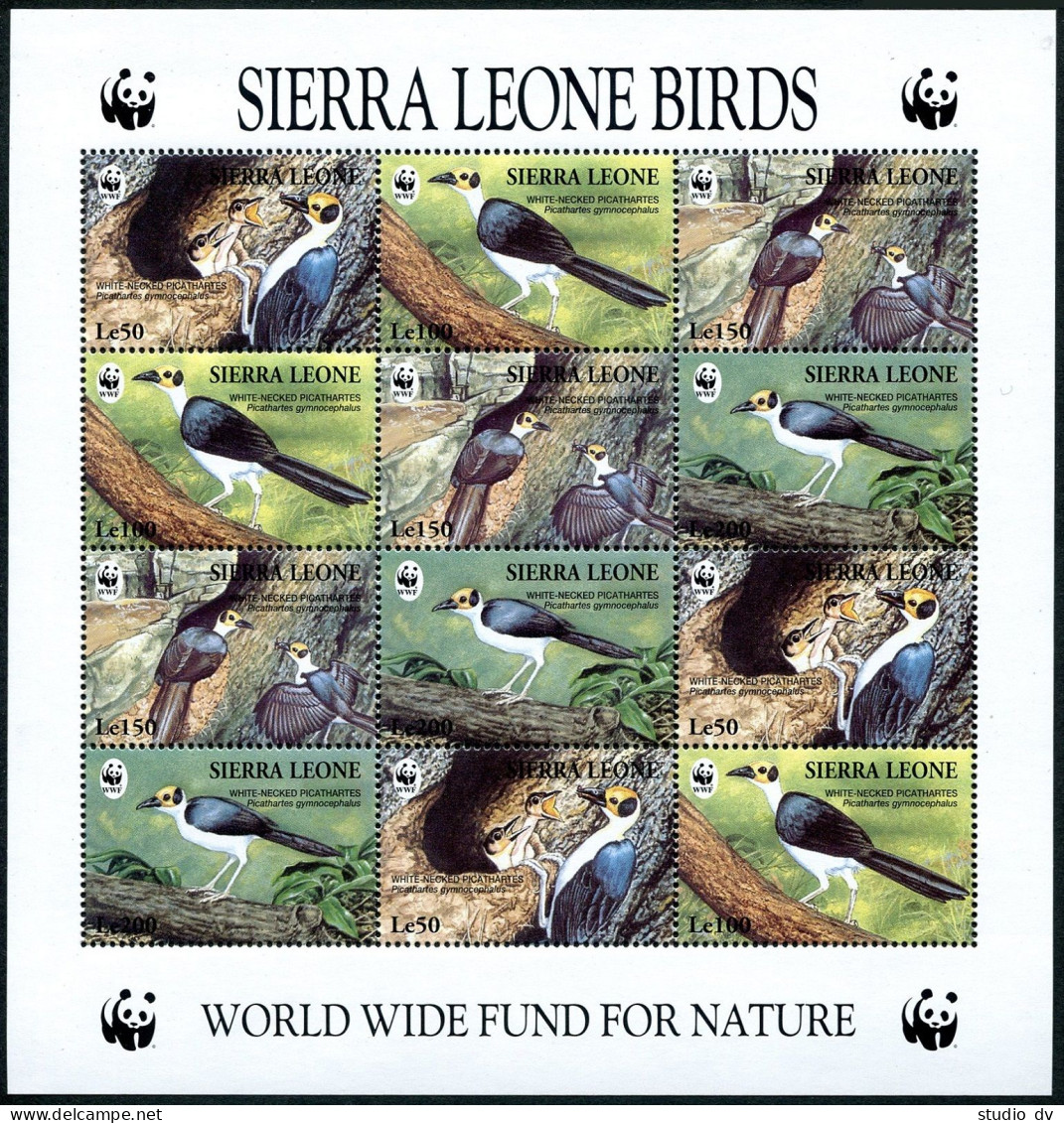 Sierra Leone 1738 Sheet, MNH. WWF 1994. Birds White-necked Picathartes. - Sierra Leone (1961-...)
