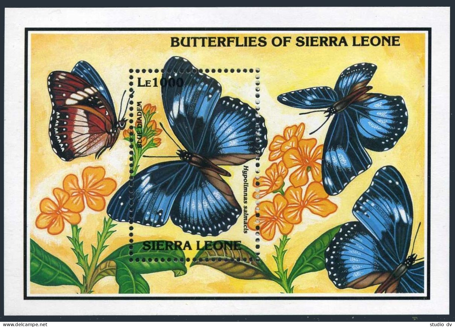 Sierra Leone 1640-1642,MNH.Michel Bl.222-224. Butterflies 1993.Blue Diadem,Leaf, - Sierra Leone (1961-...)