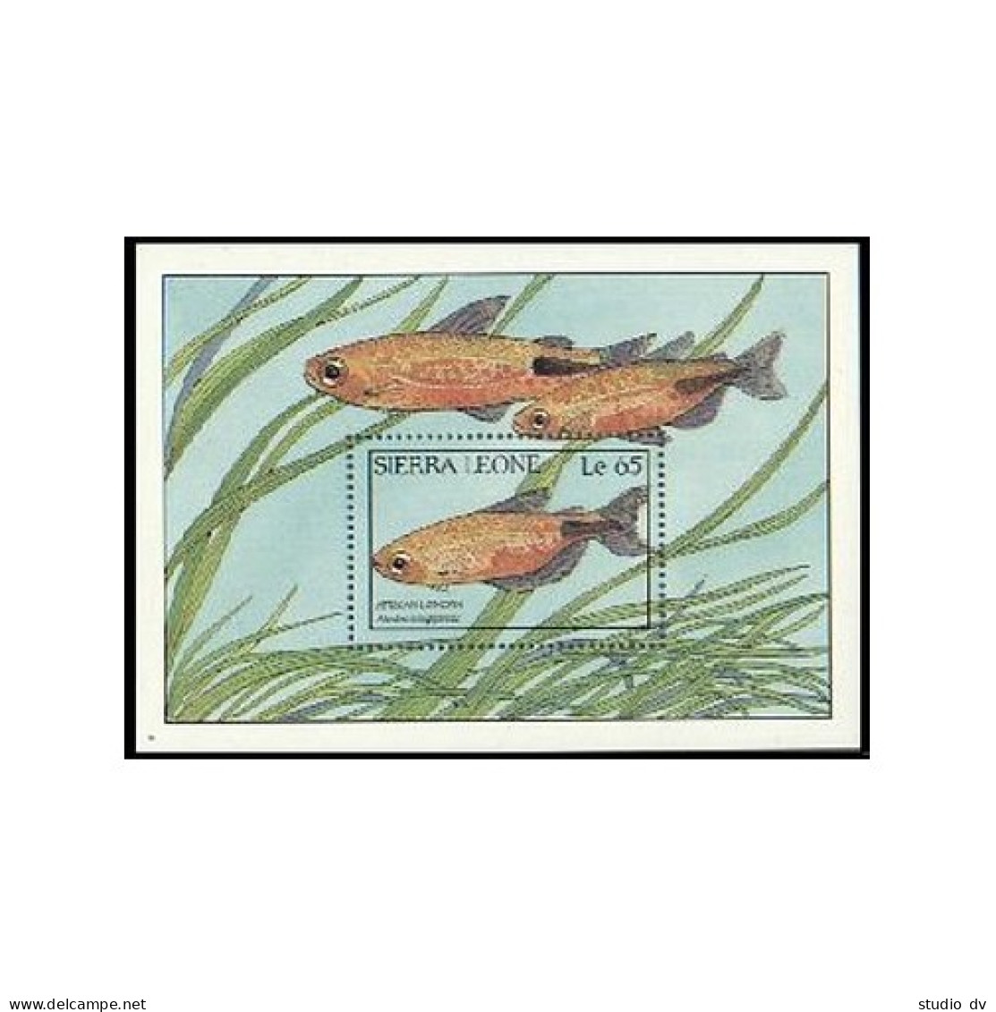 Sierra Leone 959-962,963,MNH.Michel 1081-1084,Bl.76. Fish 1988:Golden Pheasant, - Sierra Leone (1961-...)