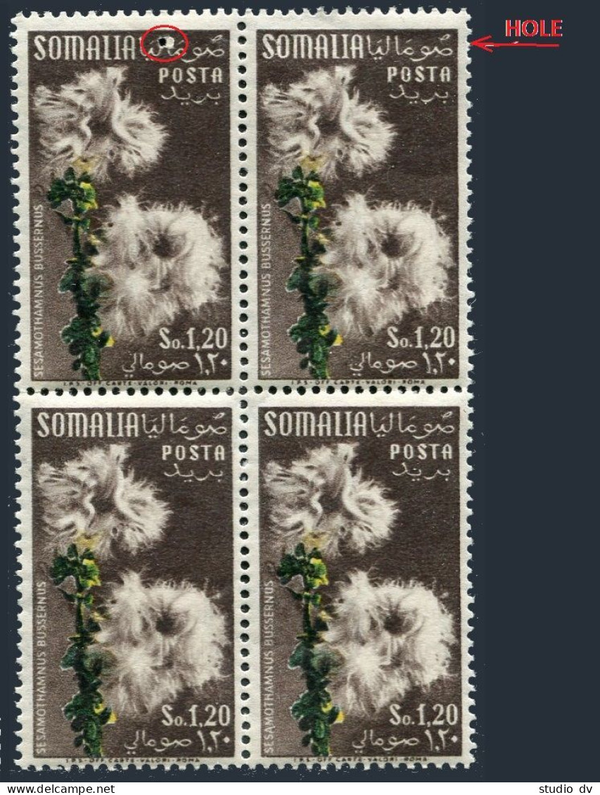 Somalia 204 3 Stamps, MNH. Michel 303. Flowers 1955. Sasamothamnus Bussernus. - Somalie (1960-...)