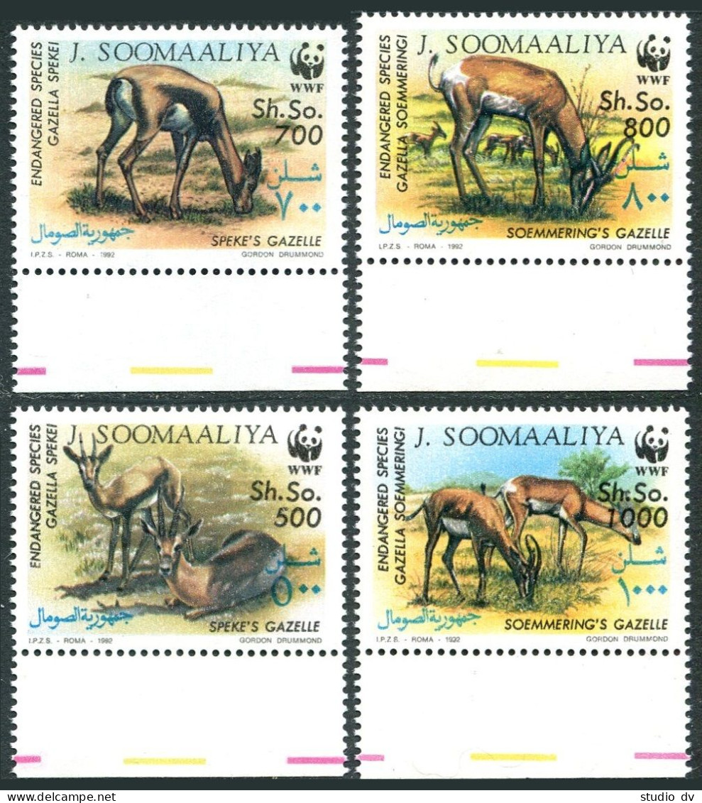 Somalia 607-610, MNH. Michel 444-447. WWF 1992. Gazelles. - Somalië (1960-...)