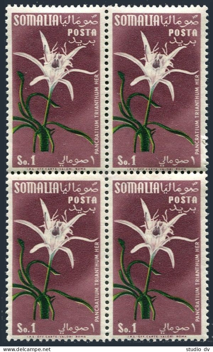 Somalia 203 Block/4, MNH. Michel 302. Flowers 1955. Pancratium. - Somalia (1960-...)