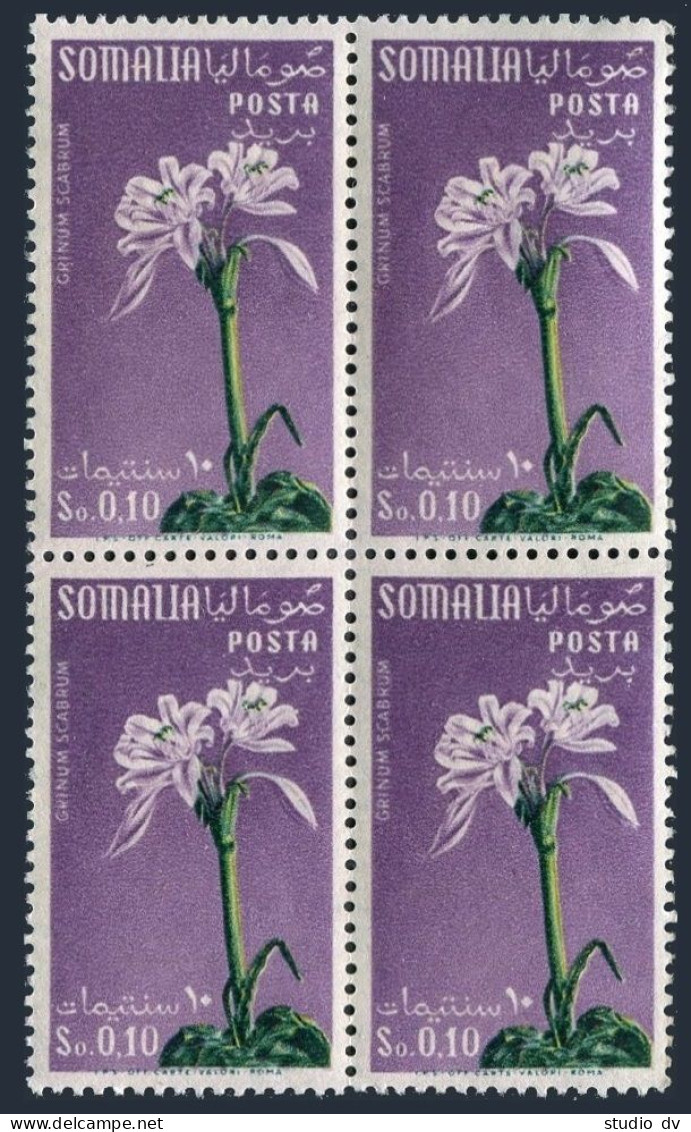 Somalia 200 Block/4, MNH. Michel 299. Flowers 1955. Grinum Scabrum. - Somalia (1960-...)