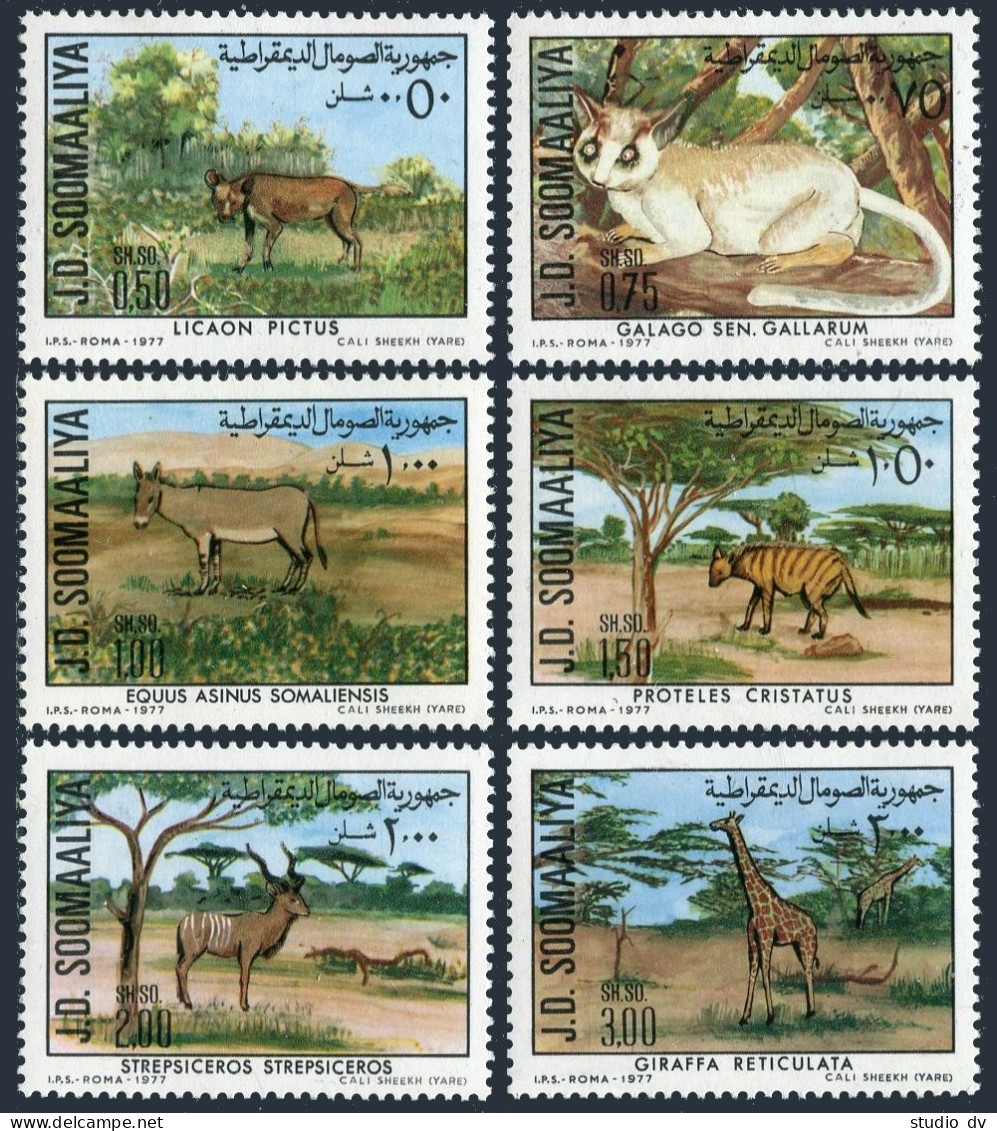 Somalia 444-449,449a,MNH. Protected Animals 1977:Bush Baby,Giraffe,Somali Ass, - Somalia (1960-...)