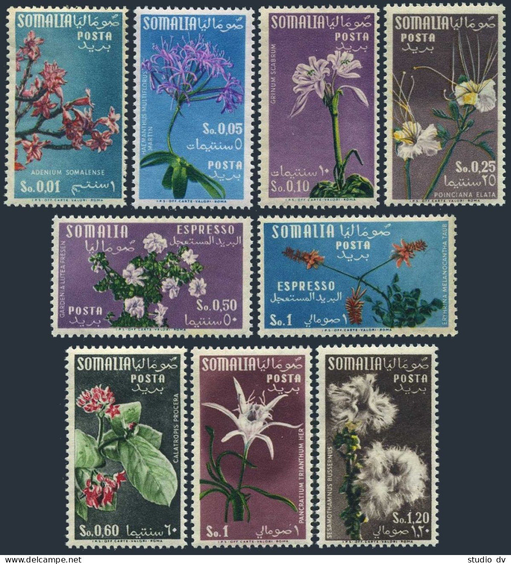 Somalia 198-204, E10-E11, MNH. Michel 297-305. Flowers 1955. - Somalië (1960-...)