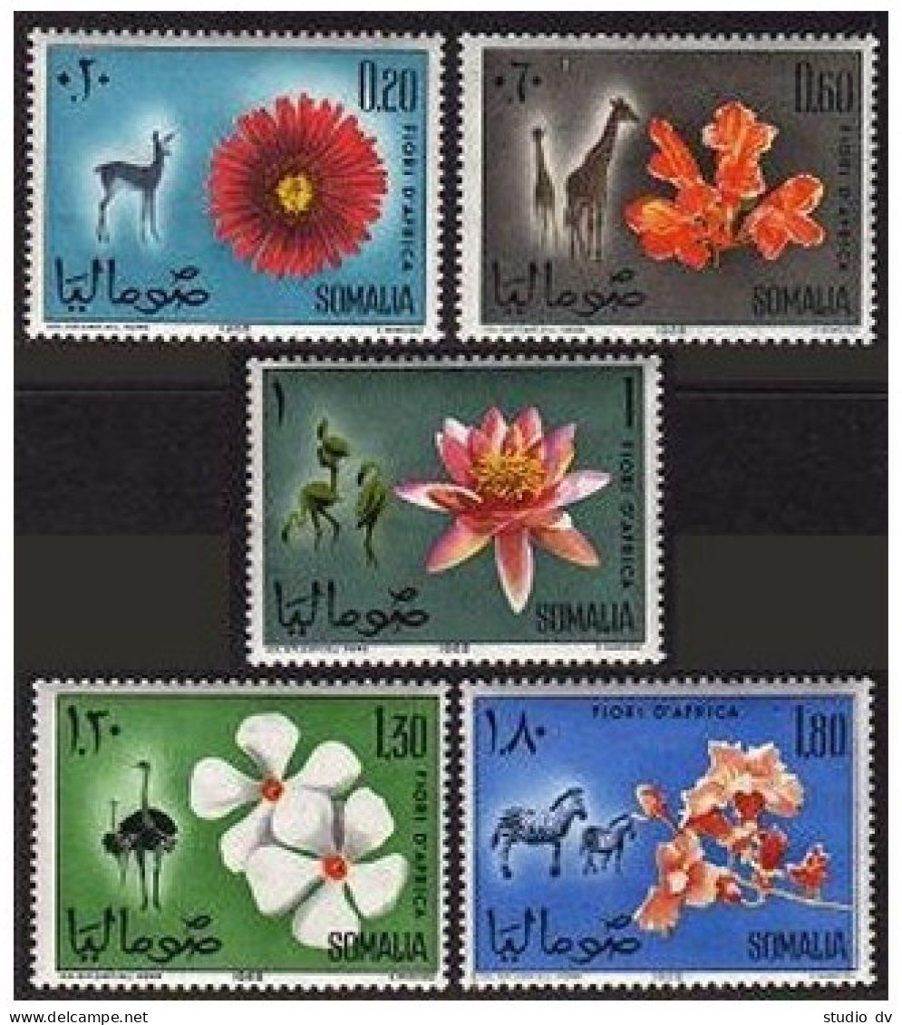 Somalia 282-286, MNH. Michel 79-83. Gazelle, Giraffes, Flamingos,Zebras,Flowers. - Somalia (1960-...)