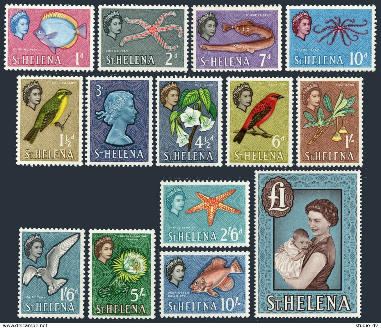 St Helena 159-172, MNH. Michel 146-159. QE II, 1961. Fish,Birds, Flowers,Andrew. - Saint Helena Island