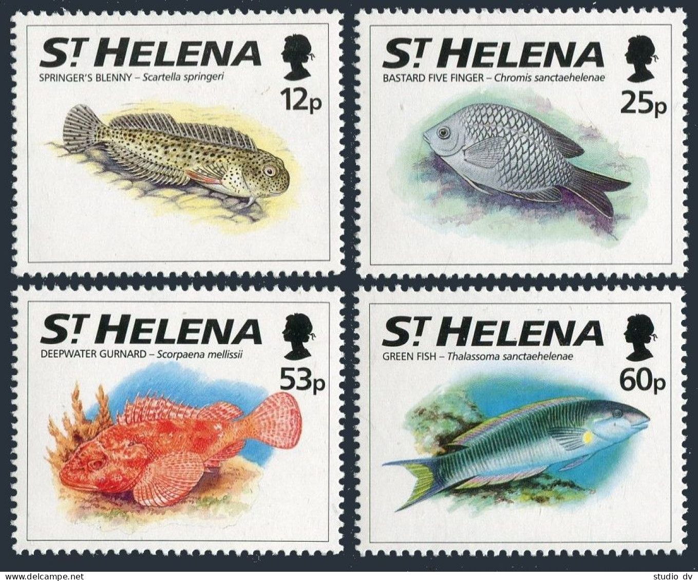 St Helena 623-626,MNH.Michel 630-633. Fish 1994.Springer's Blenny,Bastard,Green - Saint Helena Island