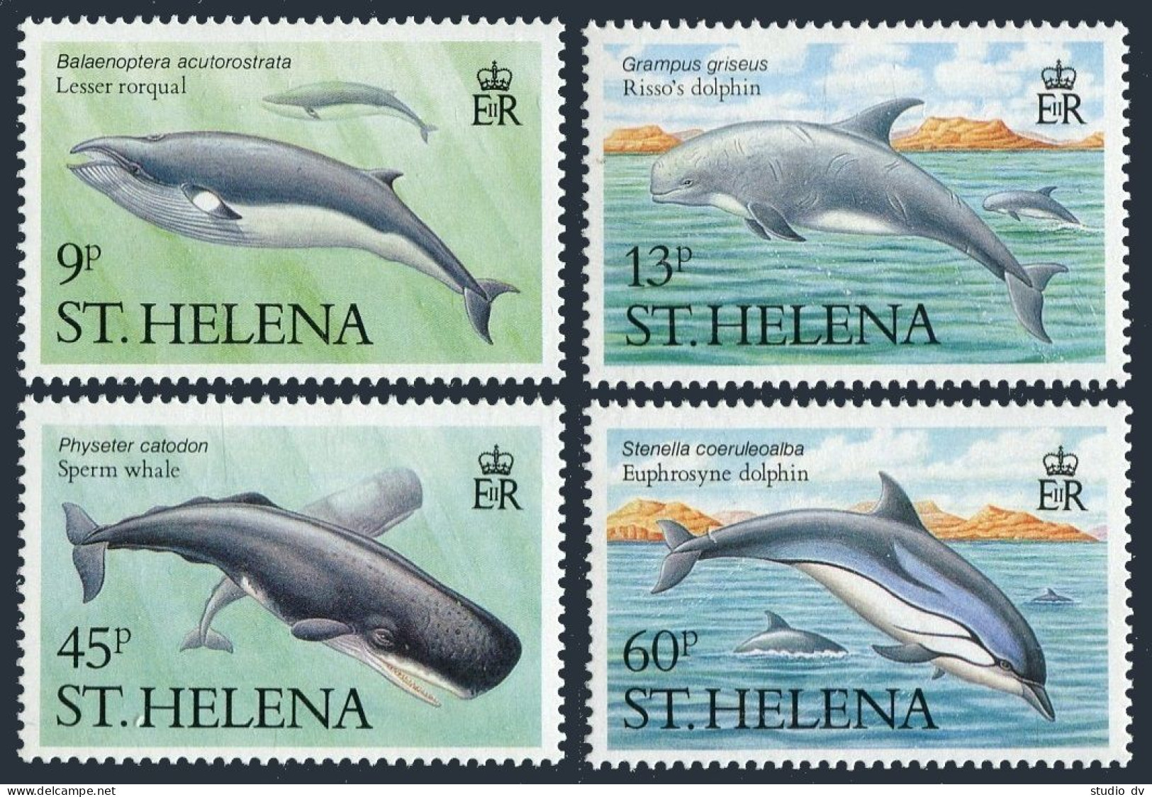 St Helena 483-486, 487, MNH. Michel 473-476, Bl.8. Dolphins, Whales, 1987. - Sainte-Hélène