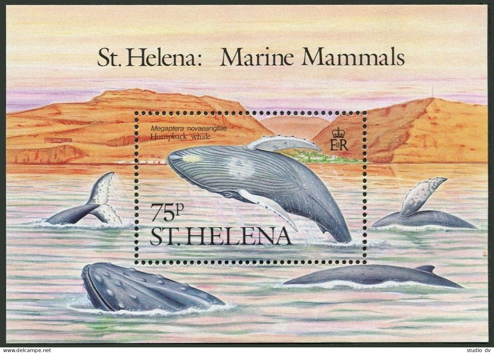 St Helena 483-486, 487, MNH. Michel 473-476, Bl.8. Dolphins, Whales, 1987. - Sainte-Hélène