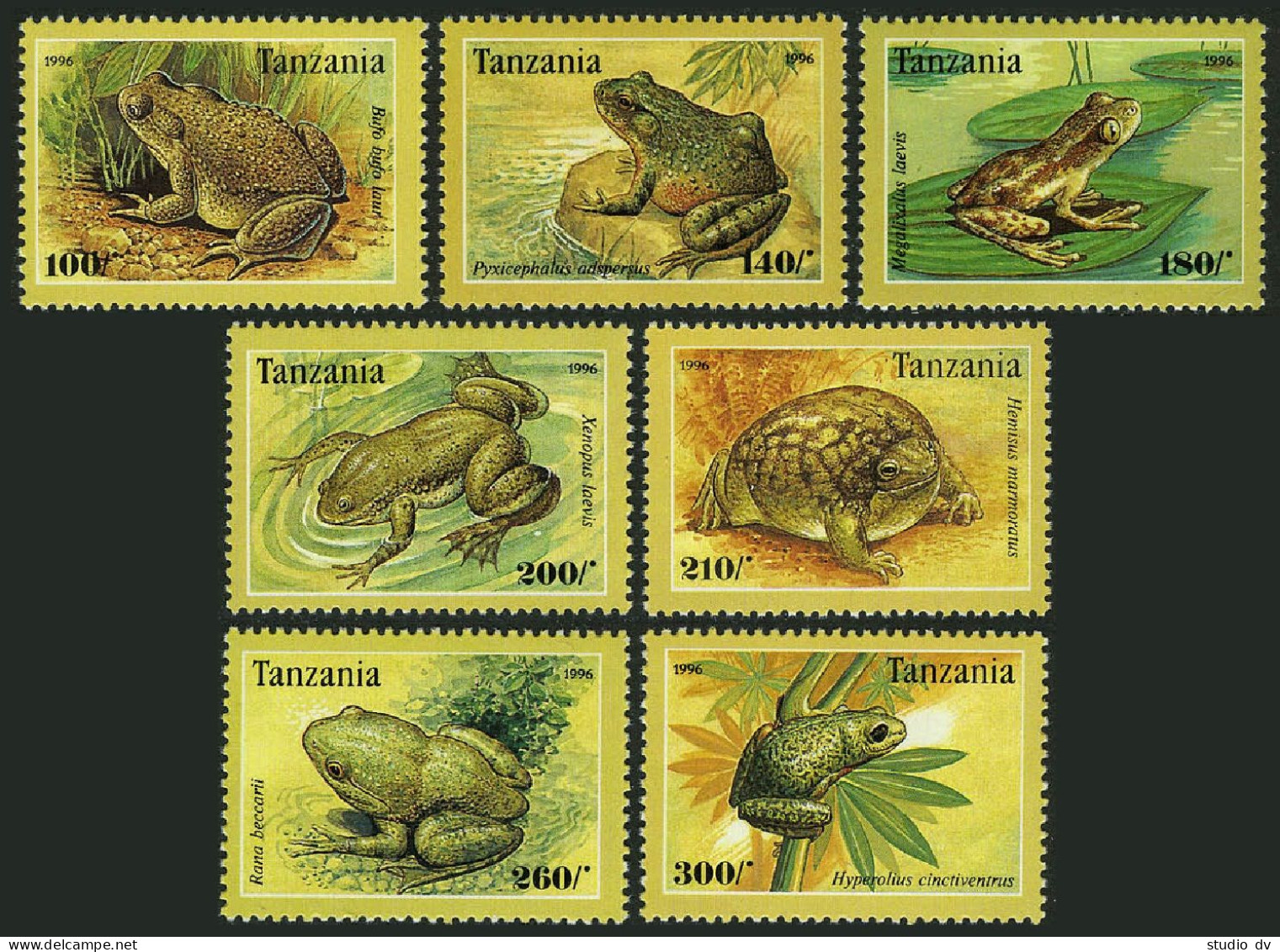 Tanzania 1453-1459,1460,MNH. Frogs 1996.Rana Goliath. - Tanzania (1964-...)