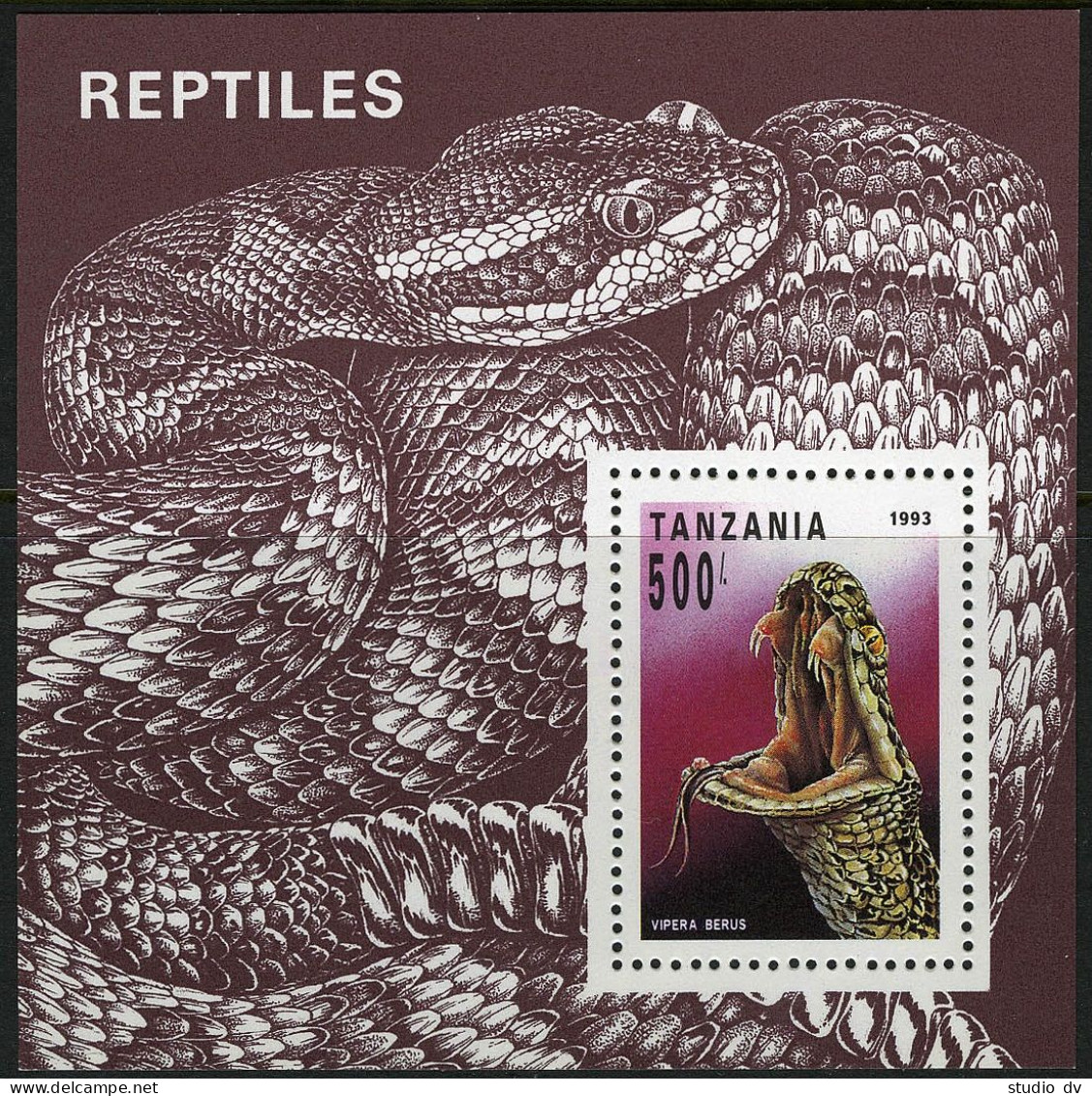 Tanzania 1135,MNH.Michel 1510 Bl.220. Reptiles 1993. Vipera Berus. - Tansania (1964-...)