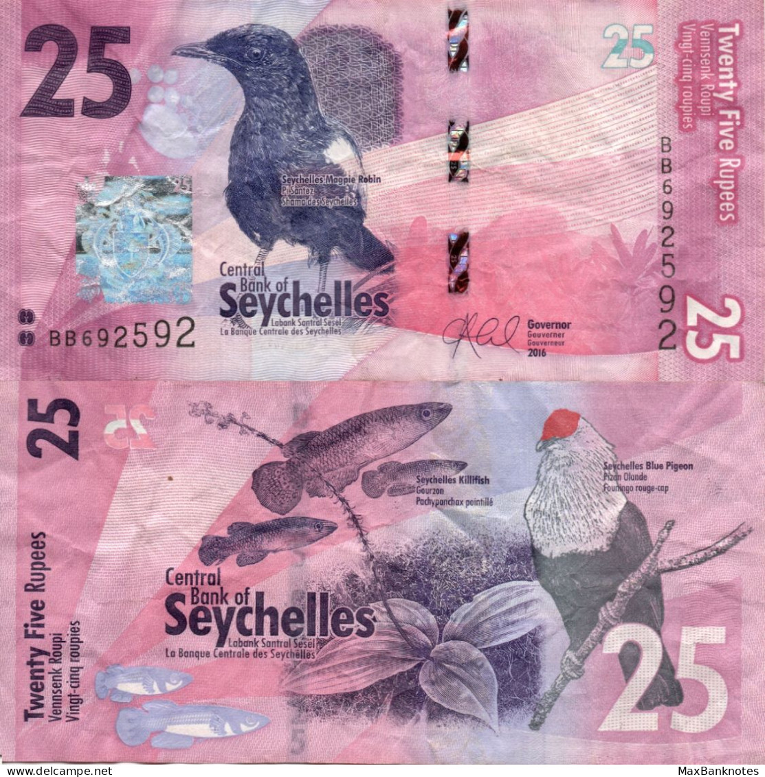 Seychelles / 25 Rupees / 2016 / P-48(a) / VF - Seychelles