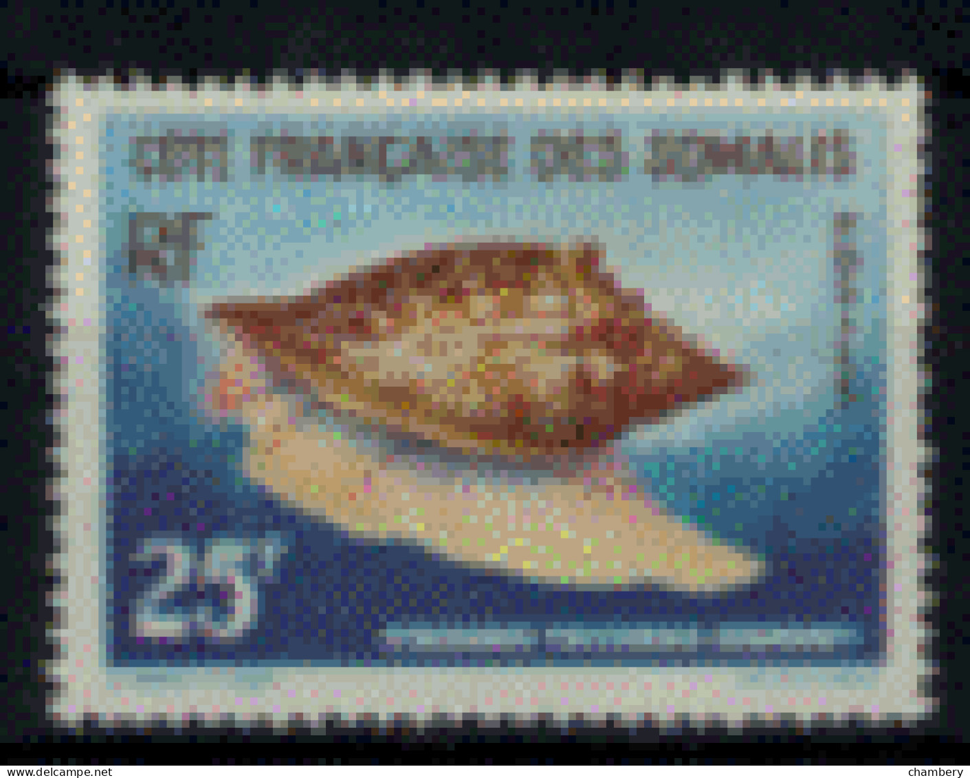 France - Somalies - "Coquillage De La Mer Rouge : Strombus" - Neuf 1* N° 313 De 1962 - Neufs