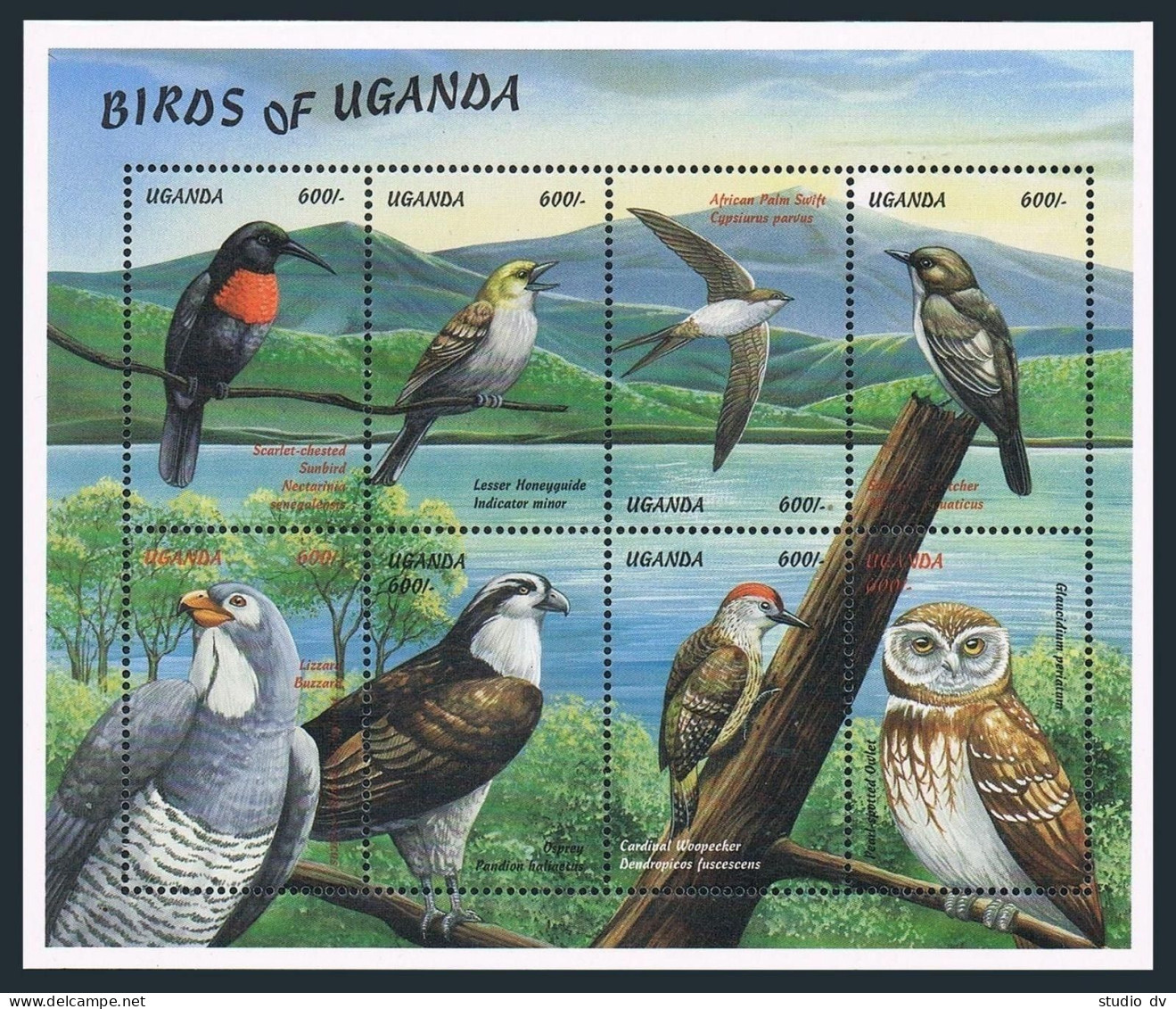 Uganda 1616 Ah Sheet,MNH. Birds 1999.Scarled-crested Sunbird,Lesser Honeyguide, - Uganda (1962-...)