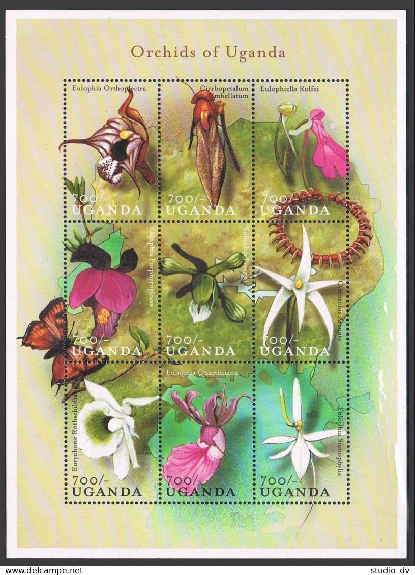 Uganda 1640 Ai Sheet,MNH. Orchids Of Uganda,2000.Eulophia Orthoplectra, - Uganda (1962-...)