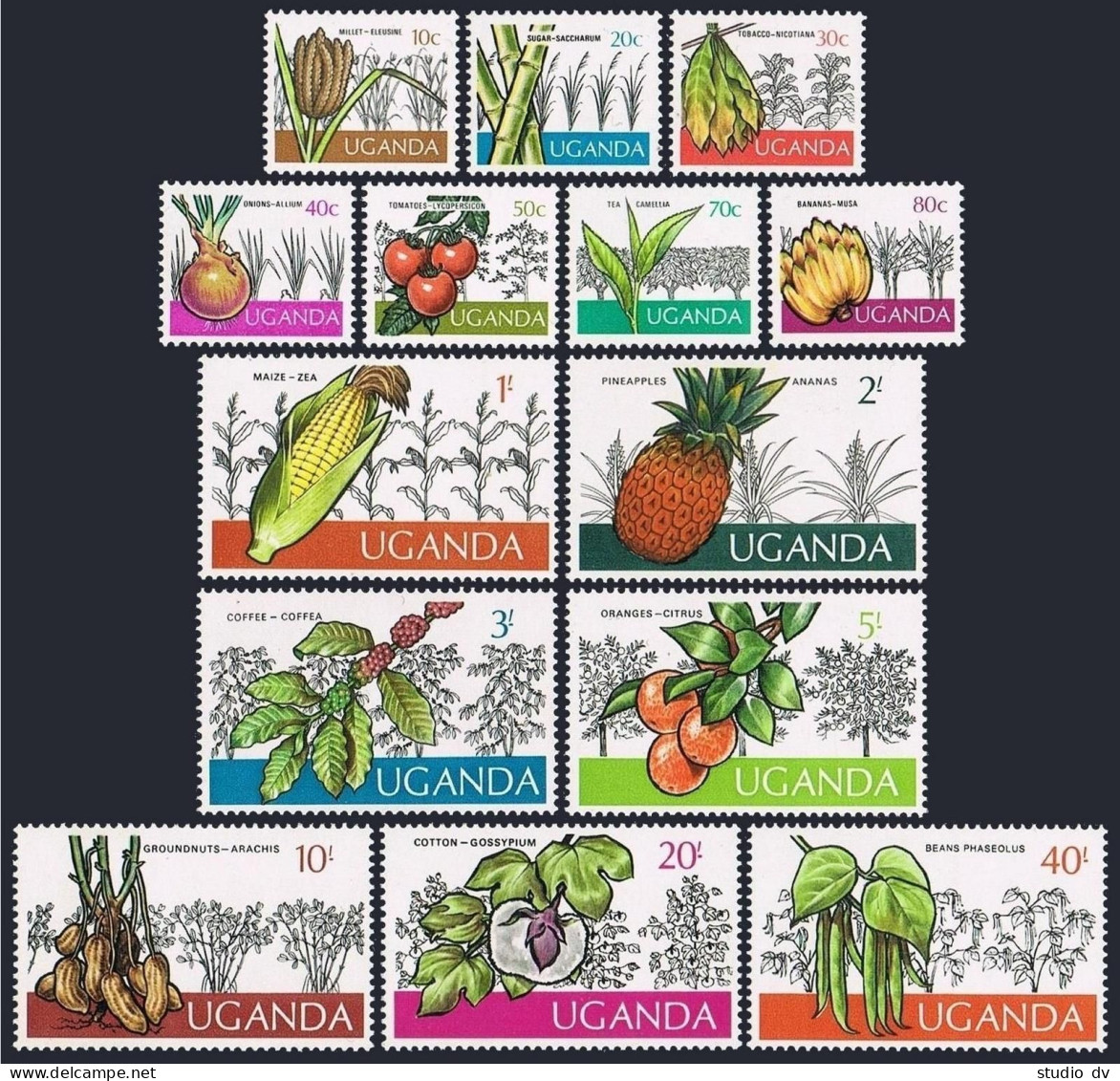 Uganda 133-146, MNH. Mi 123-136. Ugandan Crops, 1975. Millet, Sugar Cane, Cotton - Ouganda (1962-...)