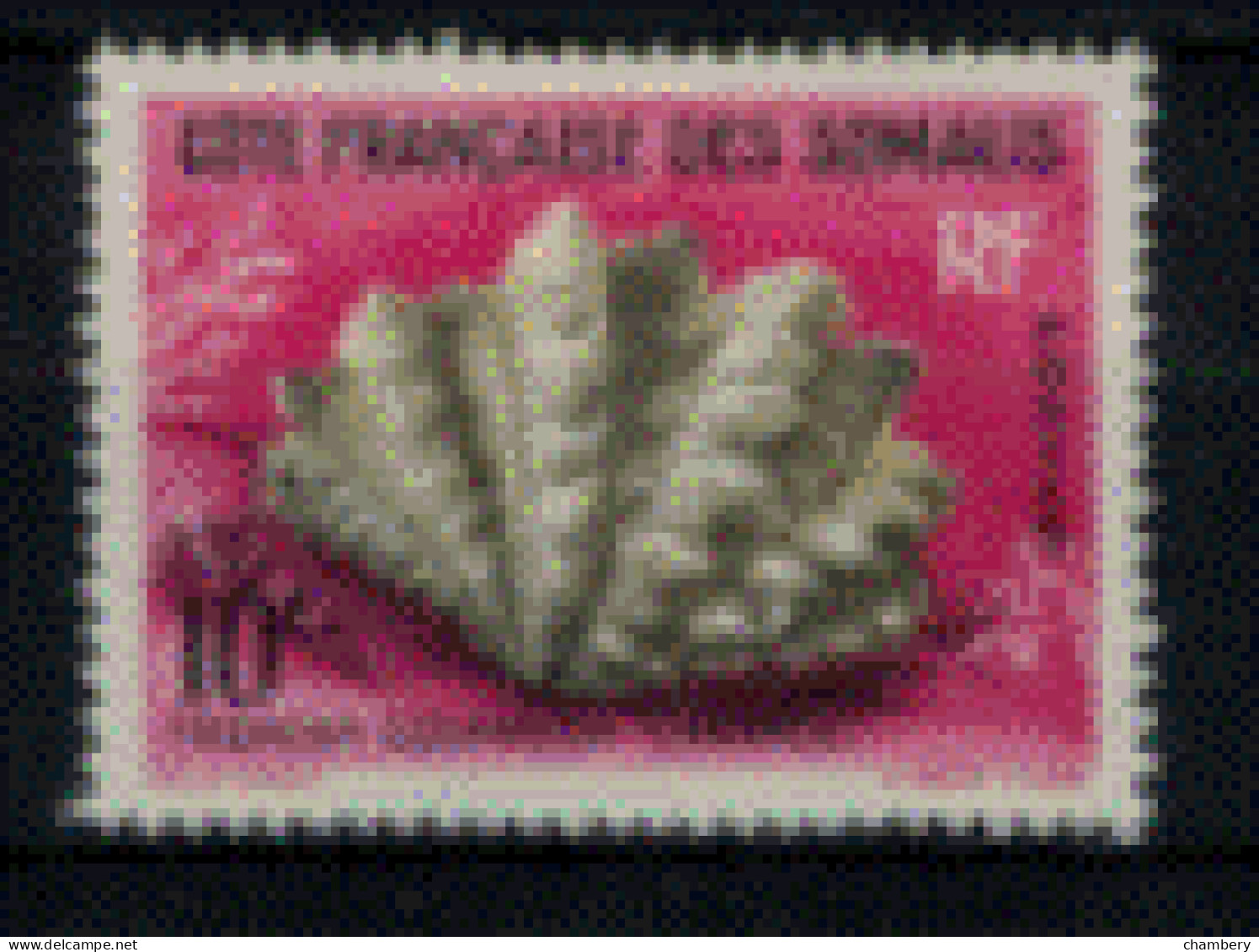 France - Somalies - "Coquillage De La Mer Rouge : Tridacna" - Neuf 1* N° 312 De 1962 - Neufs