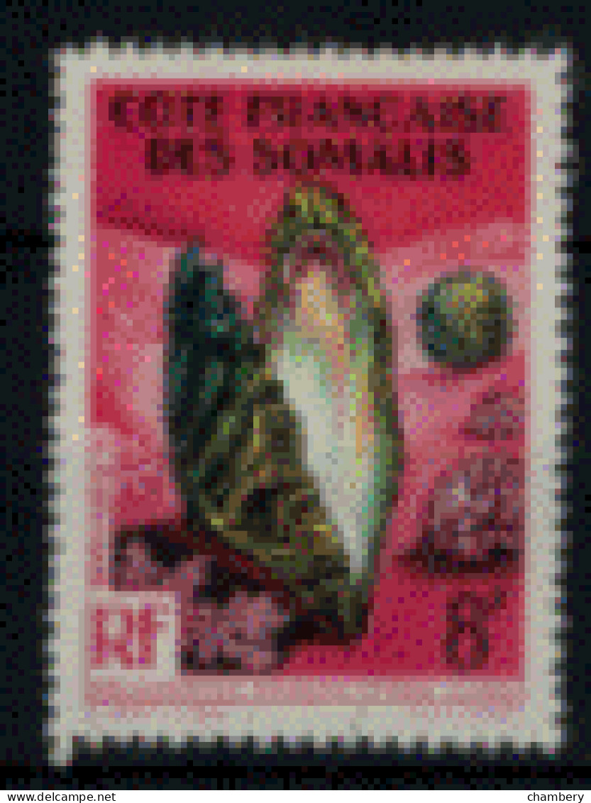 France - Somalies - "Coquillage De La Mer Rouge : Meleagrina" - Neuf 1* N° 311 De 1962 - Neufs
