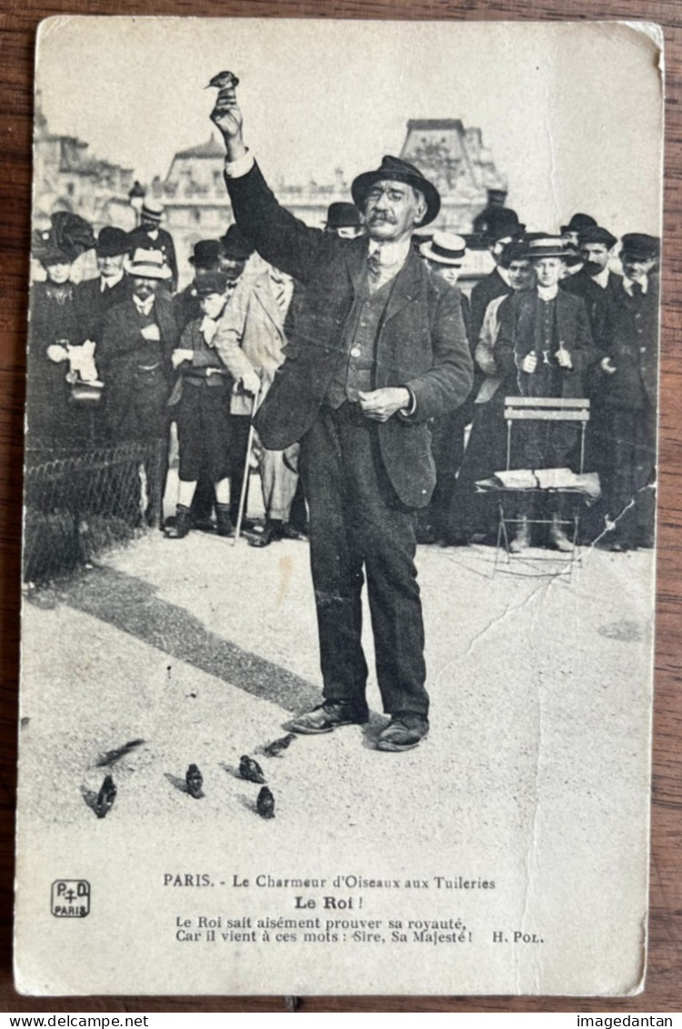 Paris - Le Charmeur D'oiseaux Aux Tuileries - Le Roi - Petits Métiers à Paris