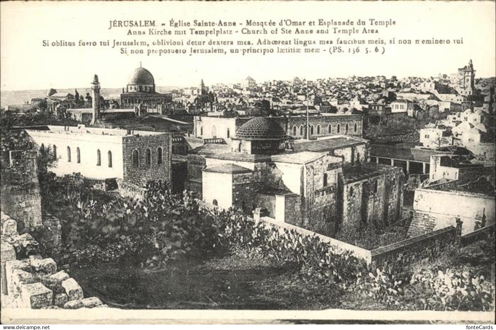 11058404 Jerusalem Yerushalayim Eglise Sainte Anne Mosquee D Omar  - Israel