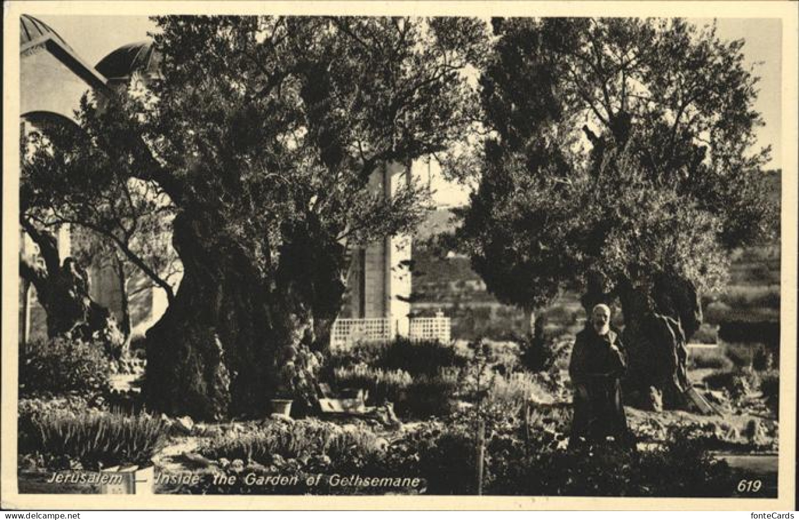 11058385 Jerusalem Yerushalayim Garden Of Gethsemane  - Israel