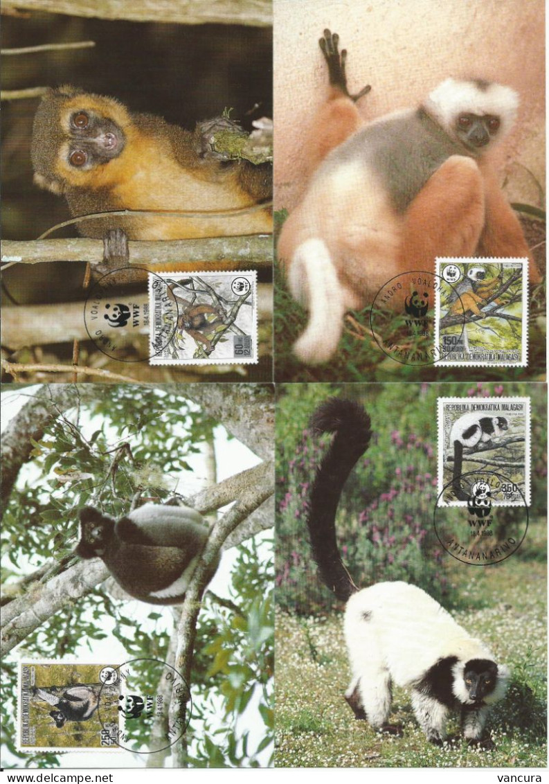 CM Malgasy/WWF Protected Lemur 1988 - Singes