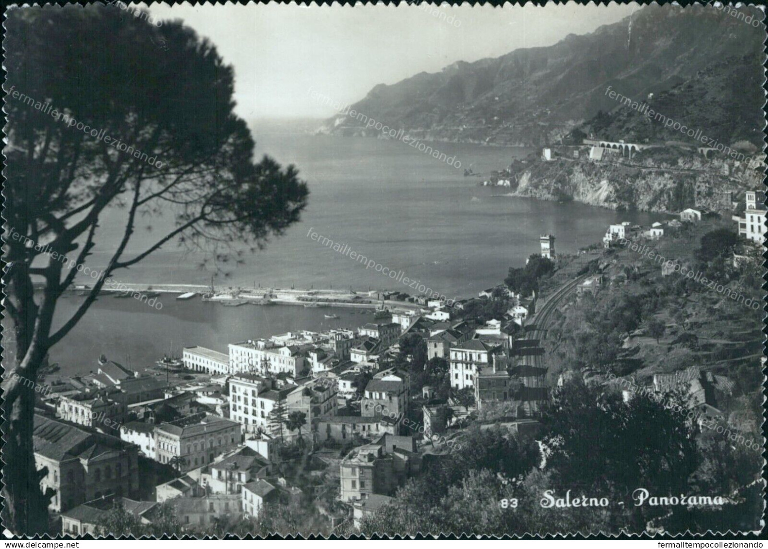Cr463 Cartolina Salerno Citta'  Panorama Campania - Salerno