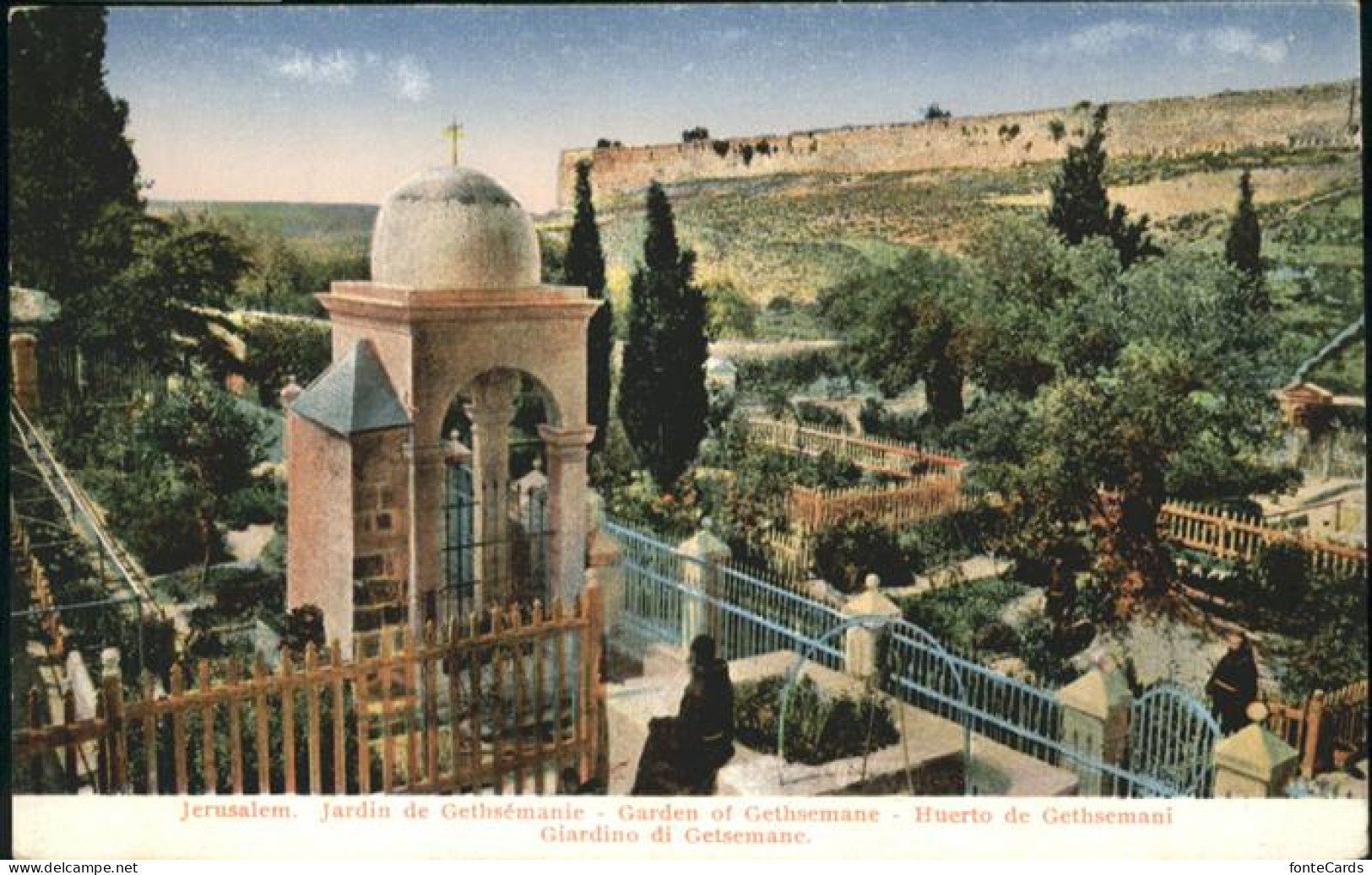 11044741 Jerusalem Yerushalayim Giardino Getsemane  - Israel