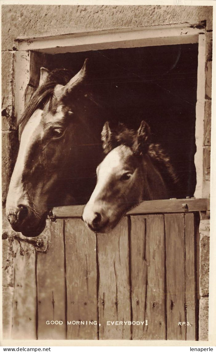 C782 FANTAISIE Chevaux - Horses