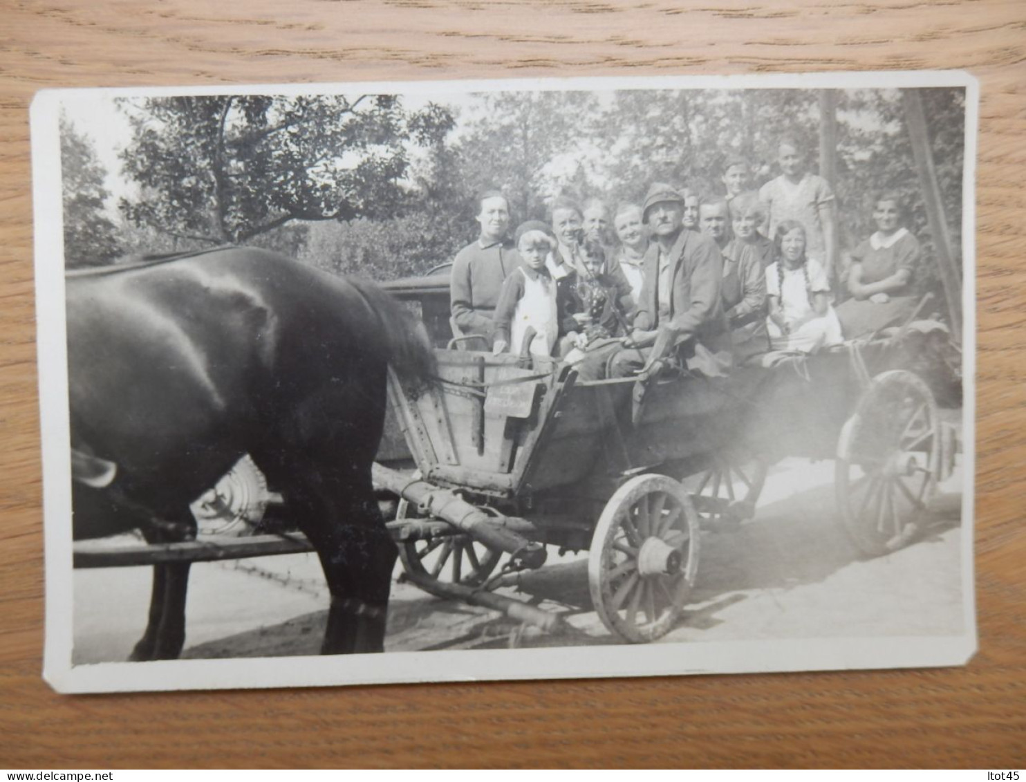 CPA PHOTO ATTELAGE EN FAMILLE - Wagengespanne