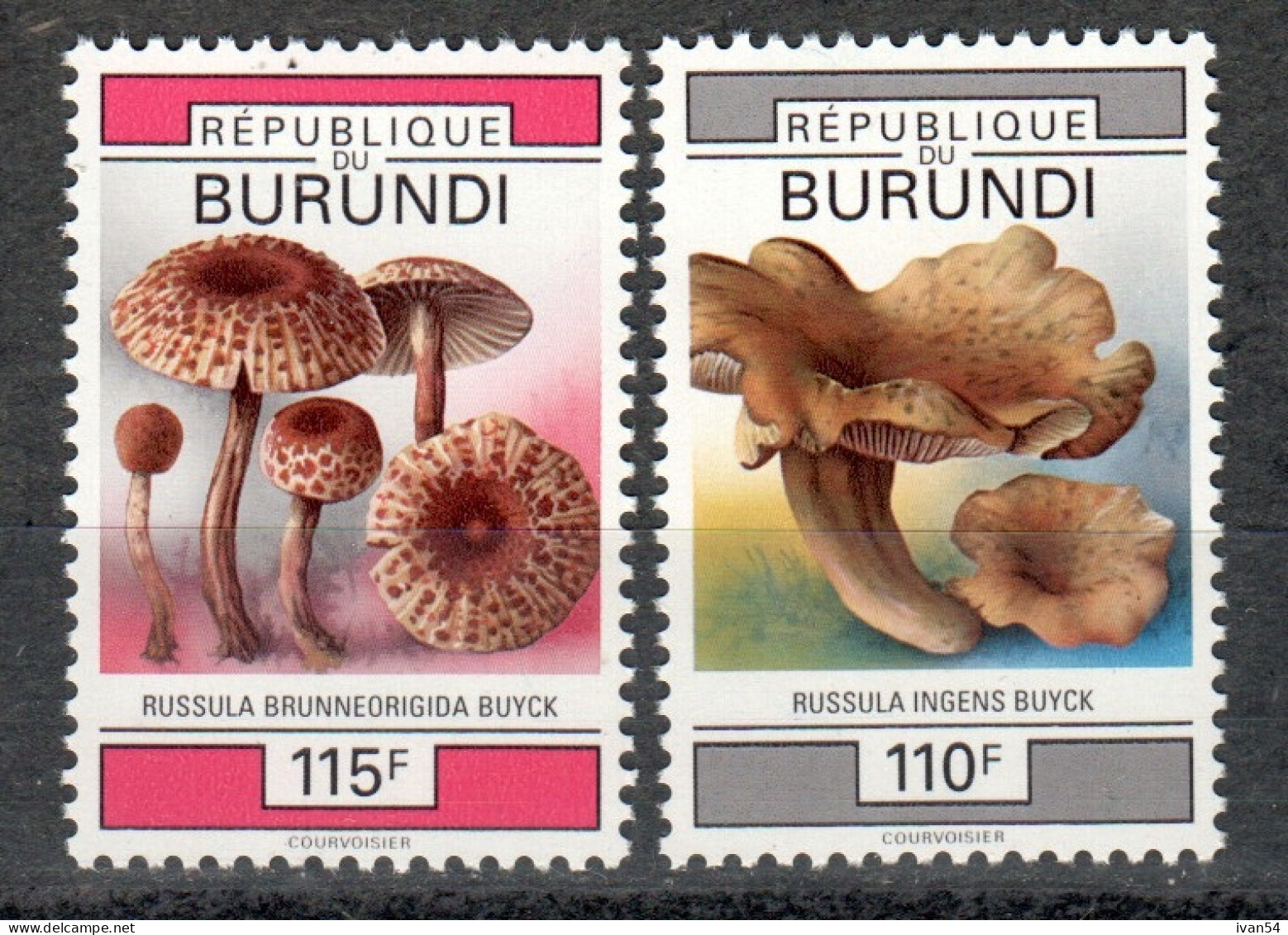 BURUNDI 1027-8  ** MNH – Champignons – Mushrooms – Paddenstoelen 1993 - Unused Stamps