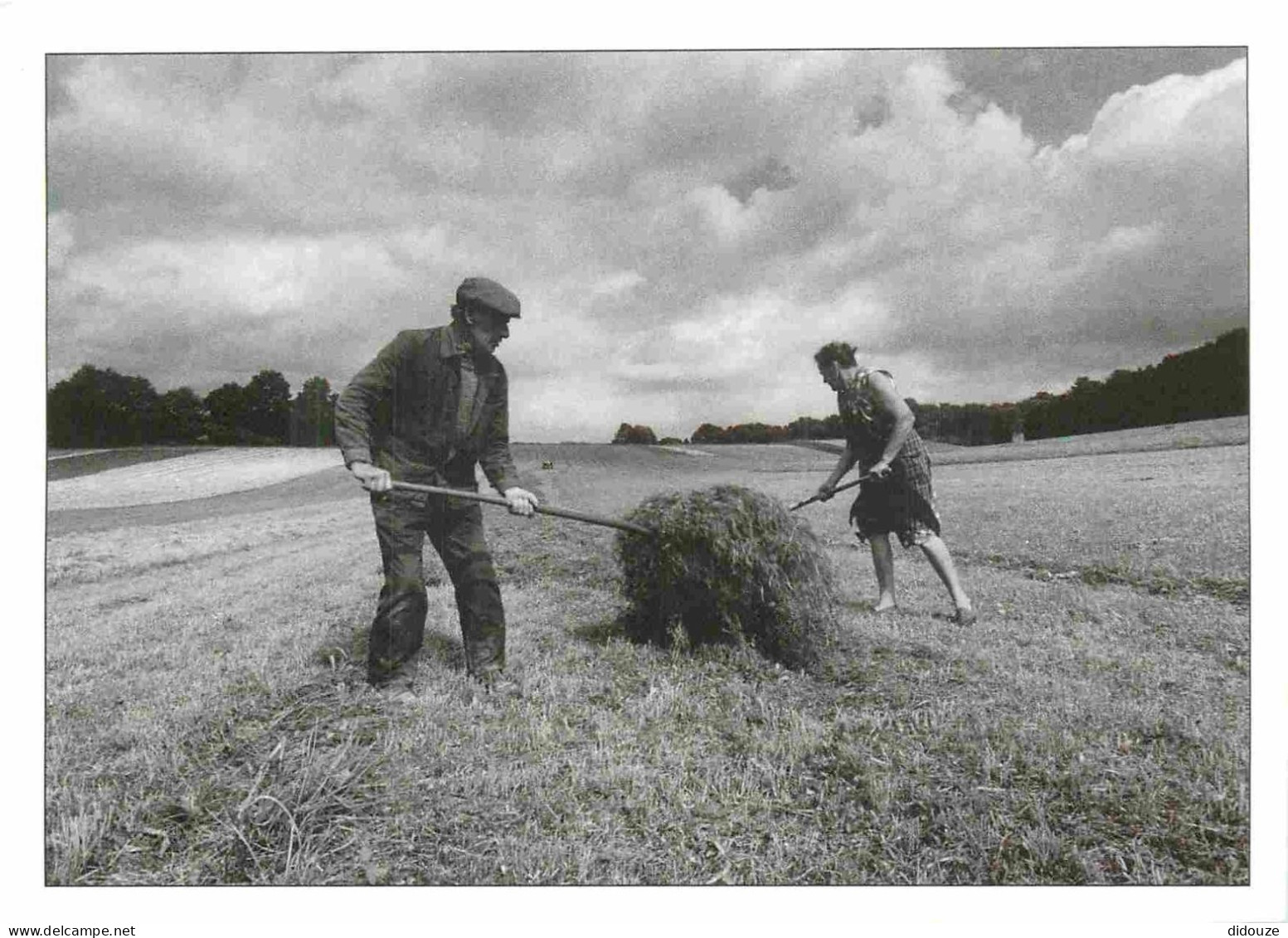 Reproduction CPA - Paysans - Les Gens D'ici - Fenaison - CPM - Voir Scans Recto-Verso - Landbouwers