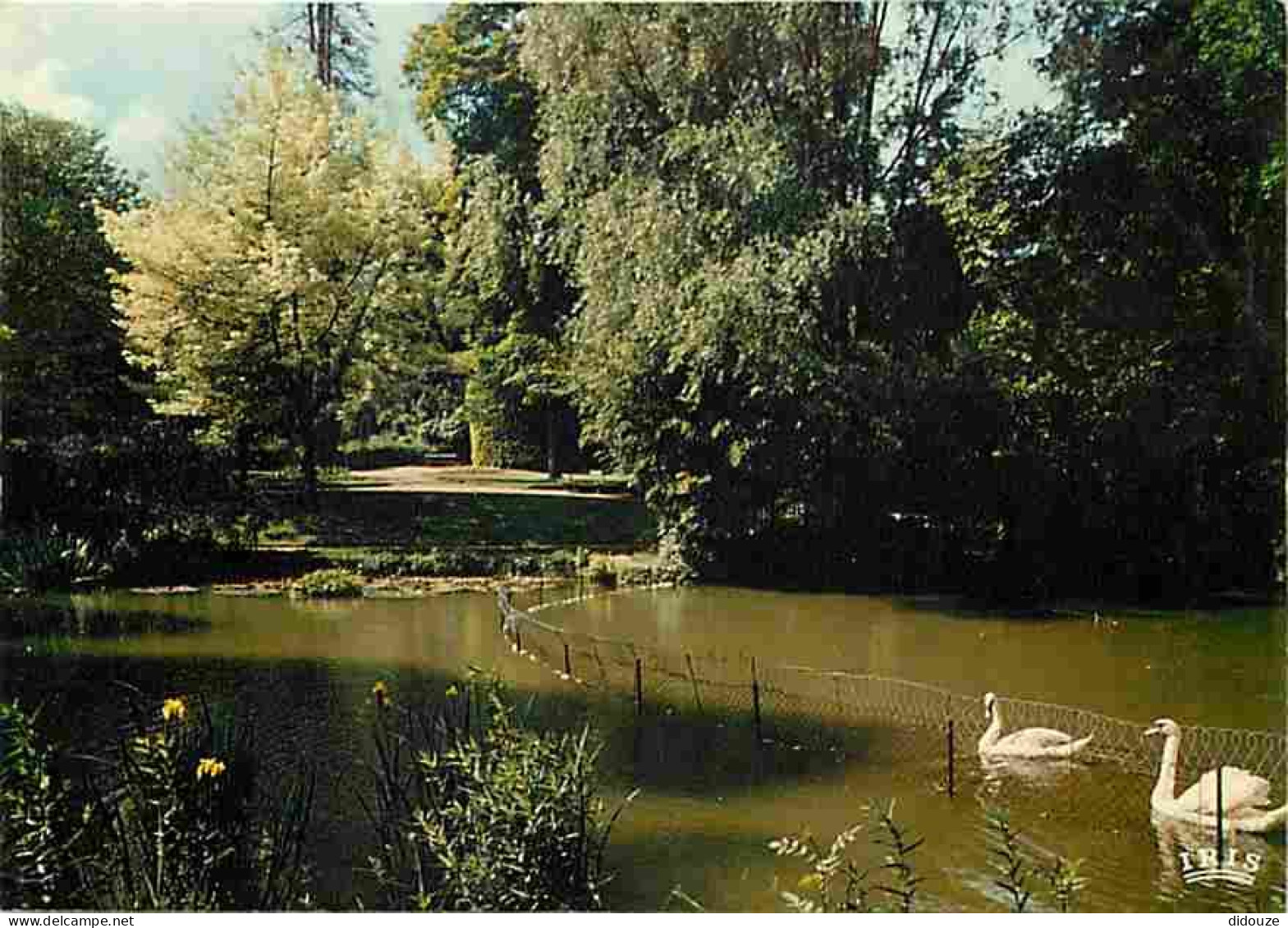 86 - Poitiers - Le Jardin Des Plantes - Cygnes - CPM - Voir Scans Recto-Verso - Poitiers