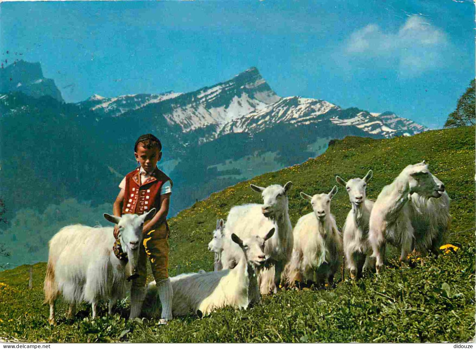 Animaux - Chèvres - Suisse - Sur L'Alpe - Auf Der Alp - Enfants - CPM - Voir Scans Recto-Verso - Other & Unclassified