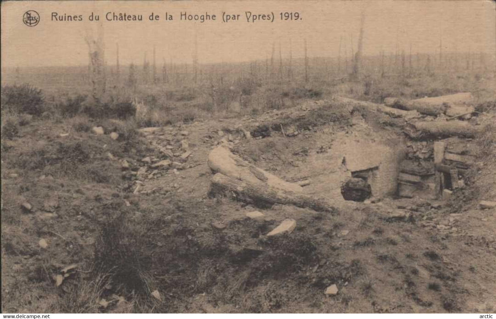 Ruines Du Chateau De La HOOGHE (par Ypres) 1919 - Otros & Sin Clasificación