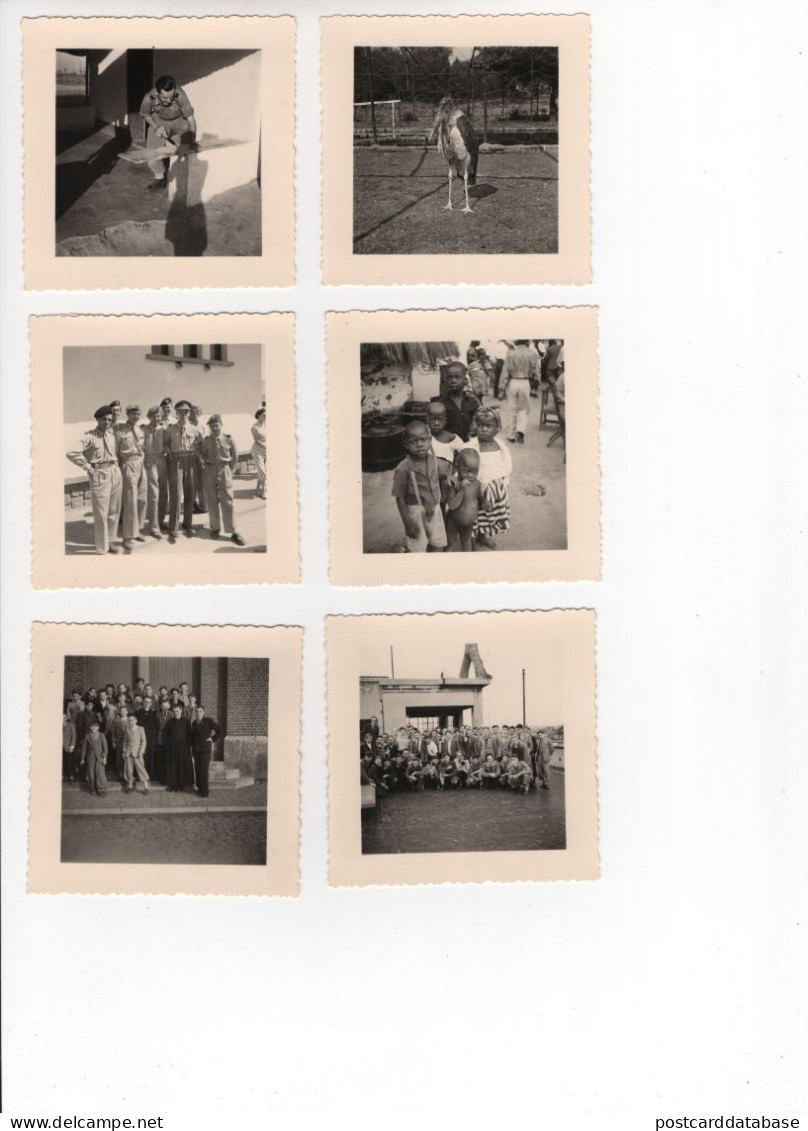Large lot of photos of a family in Belgian Congo + some photos in Tubize 1951 - & airplane, old cars, football, soccer,