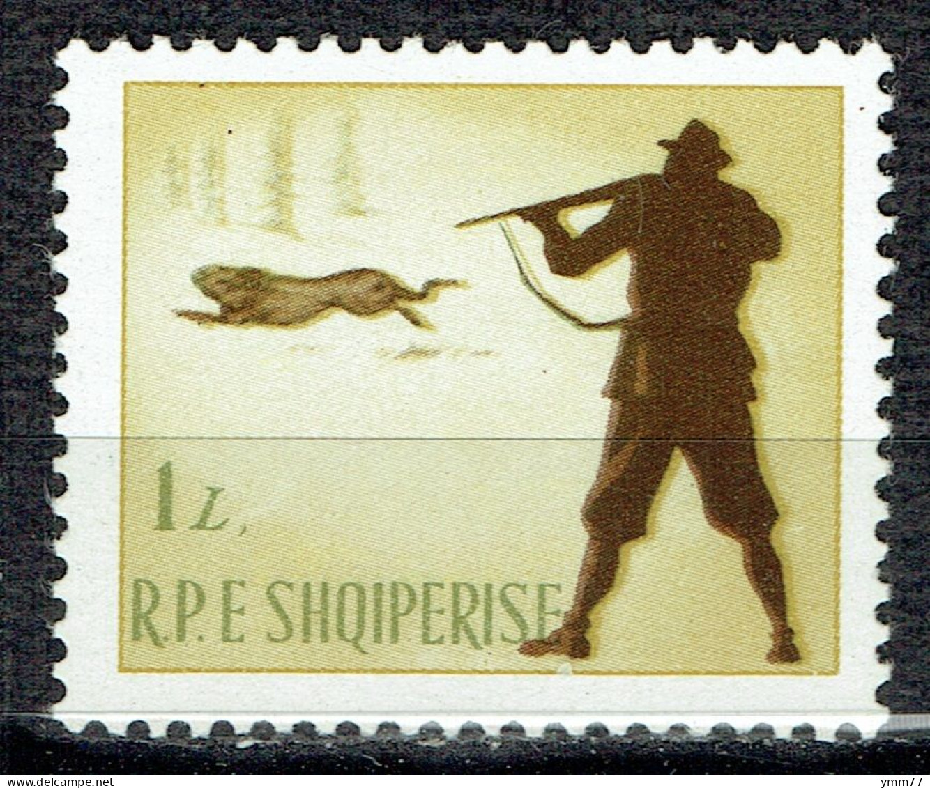 Chasse : Chasse Au Lièvre - Albanie