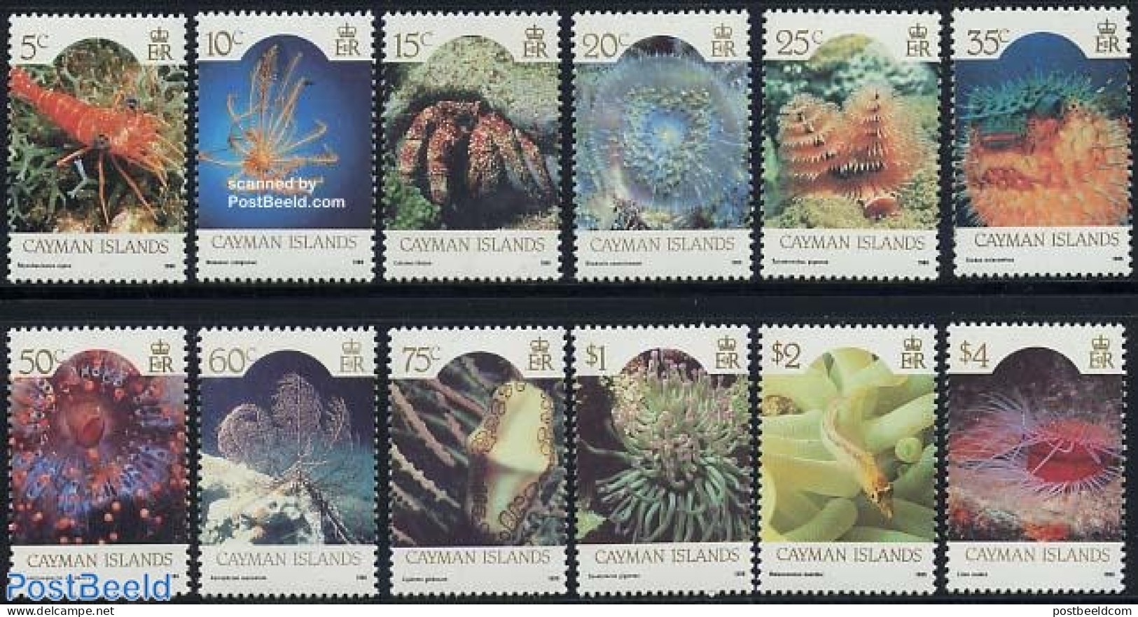 Cayman Islands 1986 Marine Life 12v, Mint NH, Nature - Shells & Crustaceans - Marine Life