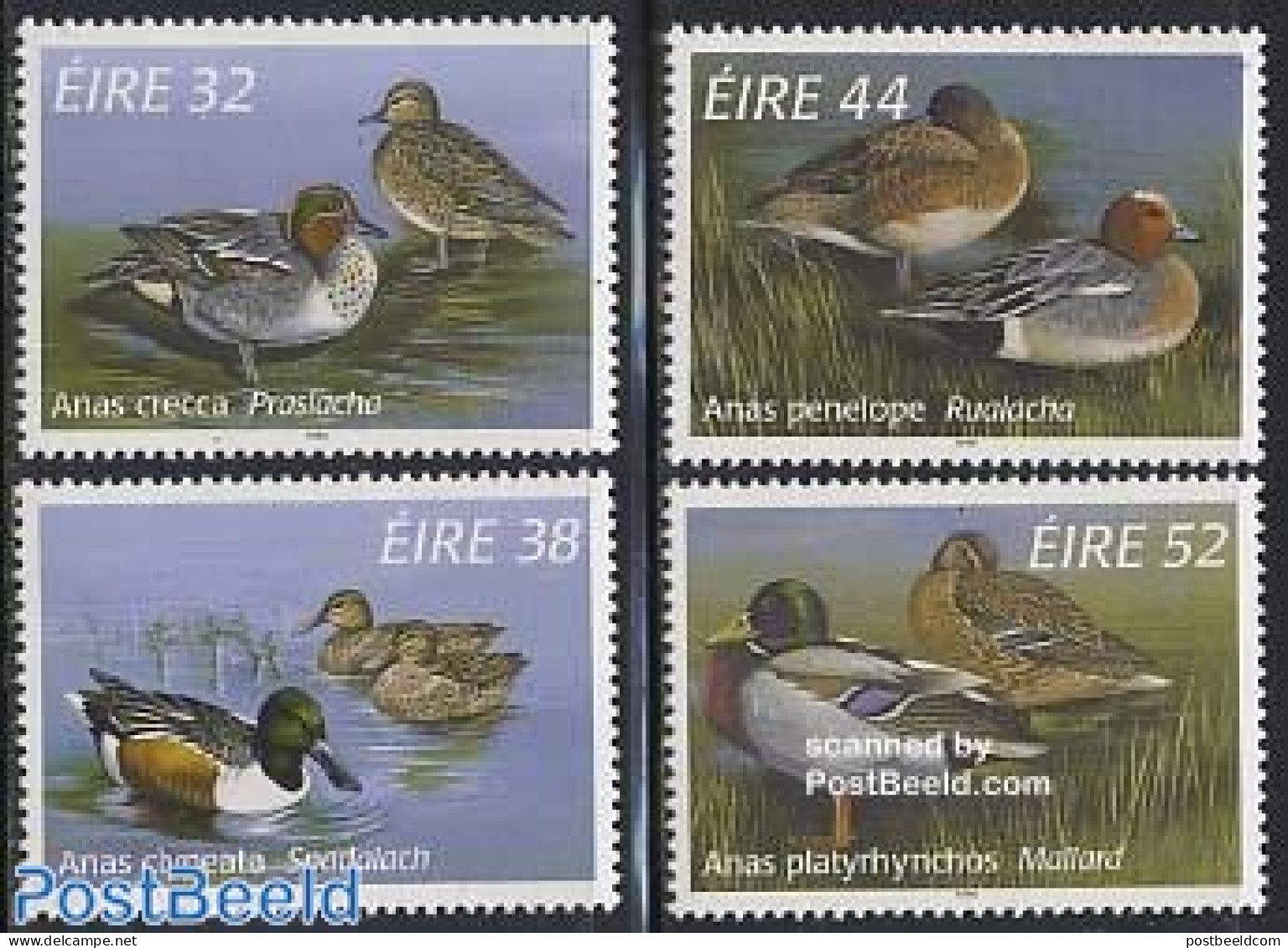 Ireland 1996 Ducks 4v, Mint NH, Nature - Birds - Ducks - Ongebruikt