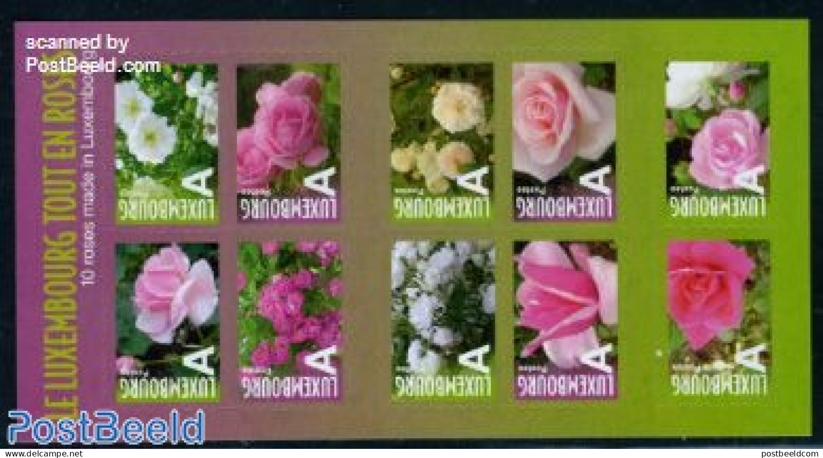Luxemburg 2010 Roses 10v S-a, Foil Booklet, Mint NH, Nature - Flowers & Plants - Roses - Unused Stamps