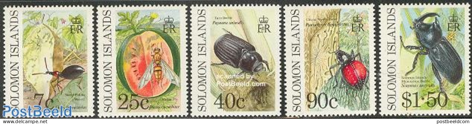 Solomon Islands 1991 Insects 5v, Mint NH, Nature - Insects - Salomoninseln (Salomonen 1978-...)