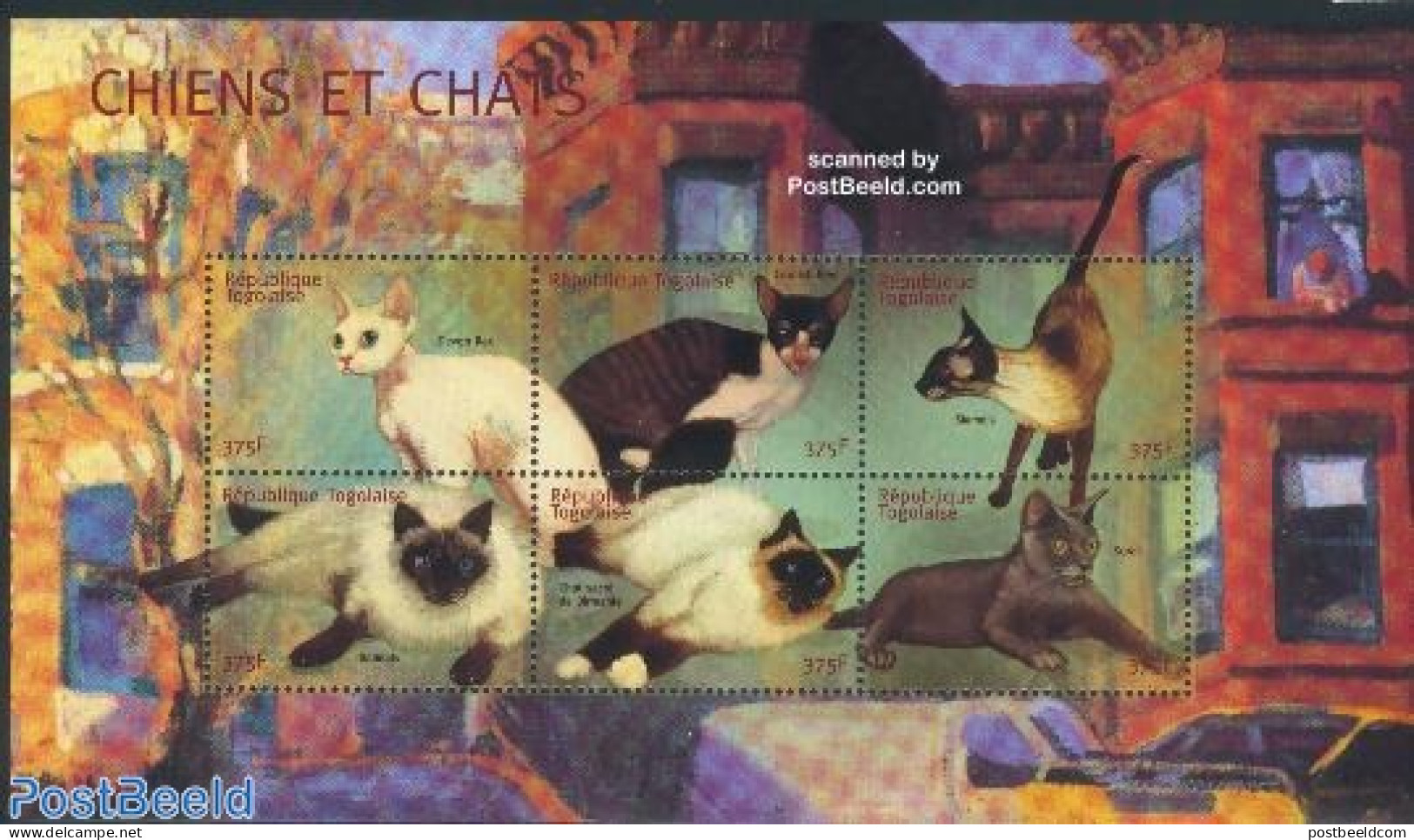 Togo 2001 Cats 6v M/s, Mint NH, Nature - Cats - Togo (1960-...)